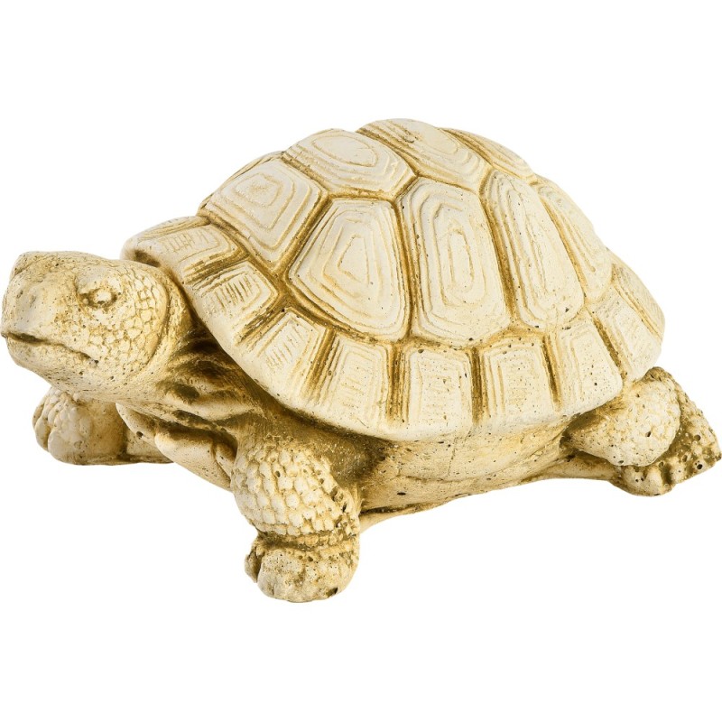Tortue Hermann PM - HAIRIE GRANDON