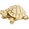 Tortue Hermann PM - HAIRIE GRANDON