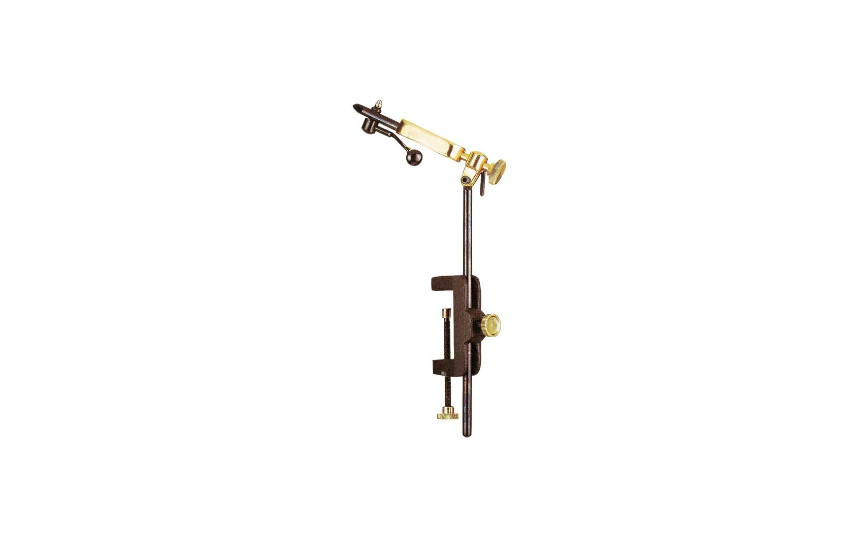 Etau Thymalus Mouche 8173 Autain