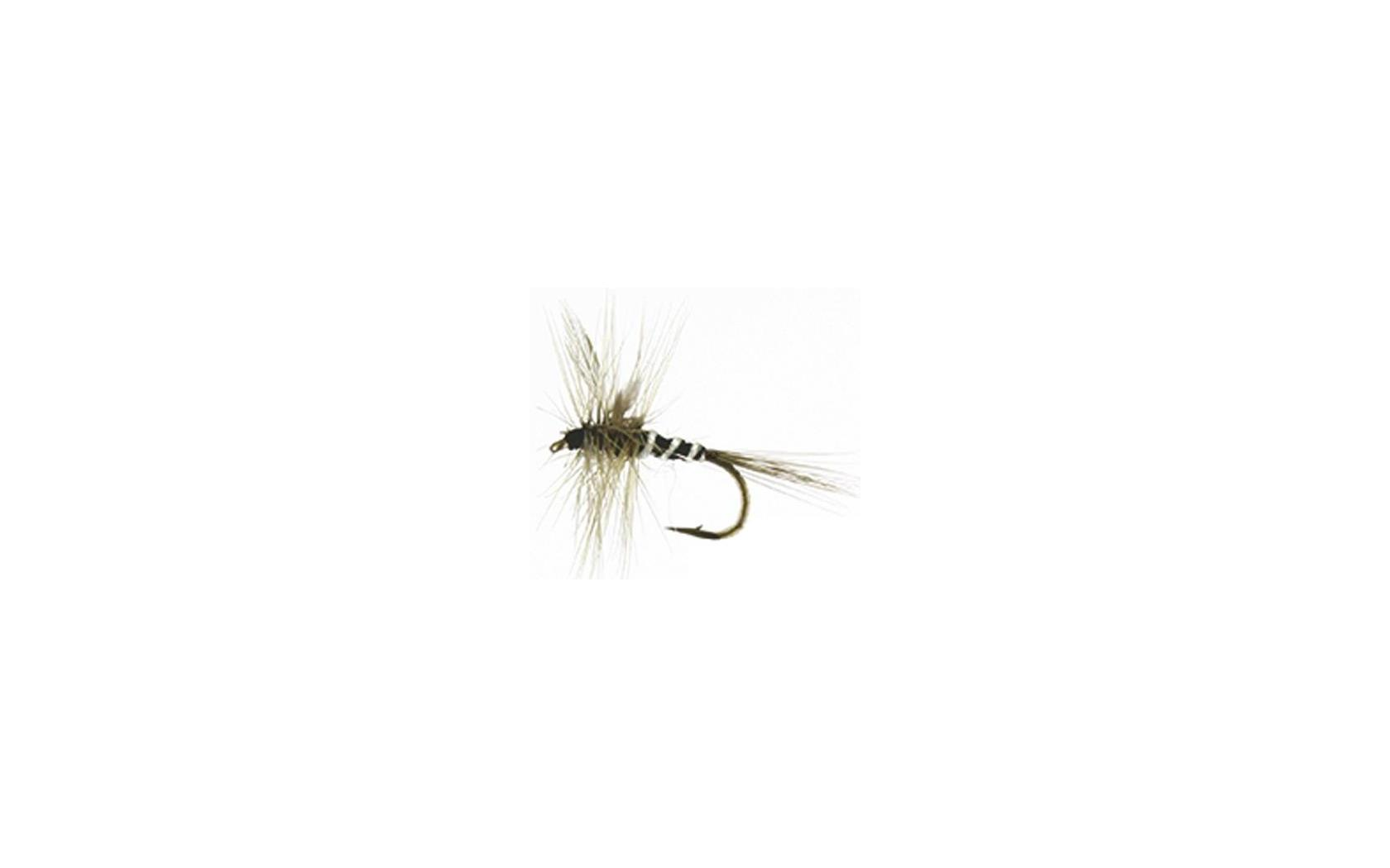 Mouche Araignée N°14 Boite de 12 Autain