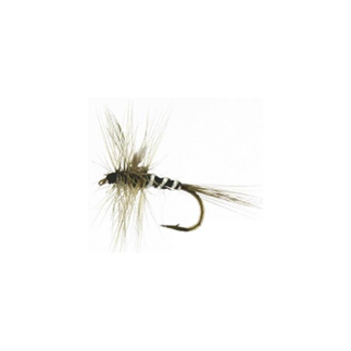 Mouche Araignée N°16 Boite de 12 Autain