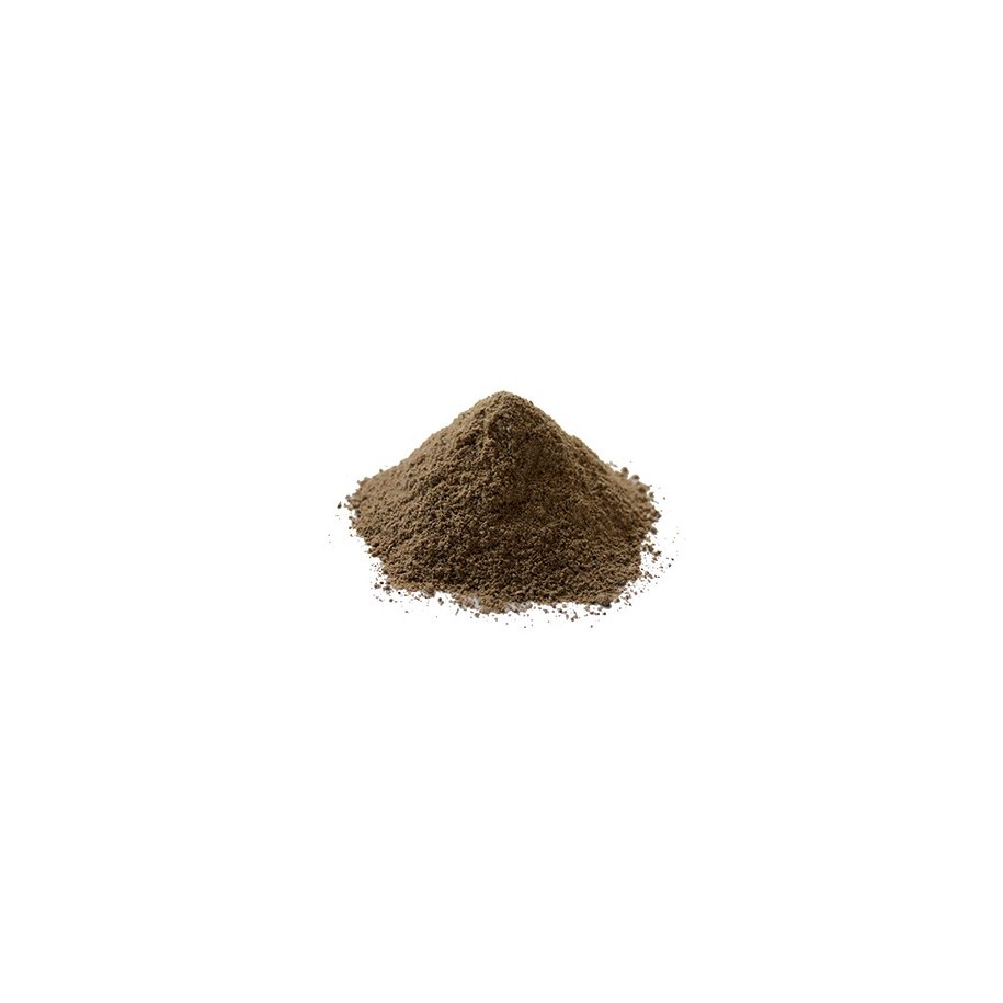 Amorce Maison Coup Canal - Etang 1 kg AUTAIN