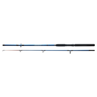 Canne Mer Emmanchement Azurite 210 cm - Autain