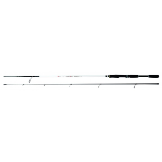 Ensemble Spinning Carnassier Canne Mikagi 270 cm + Moulinet FGII3010FD - AUTAIN
