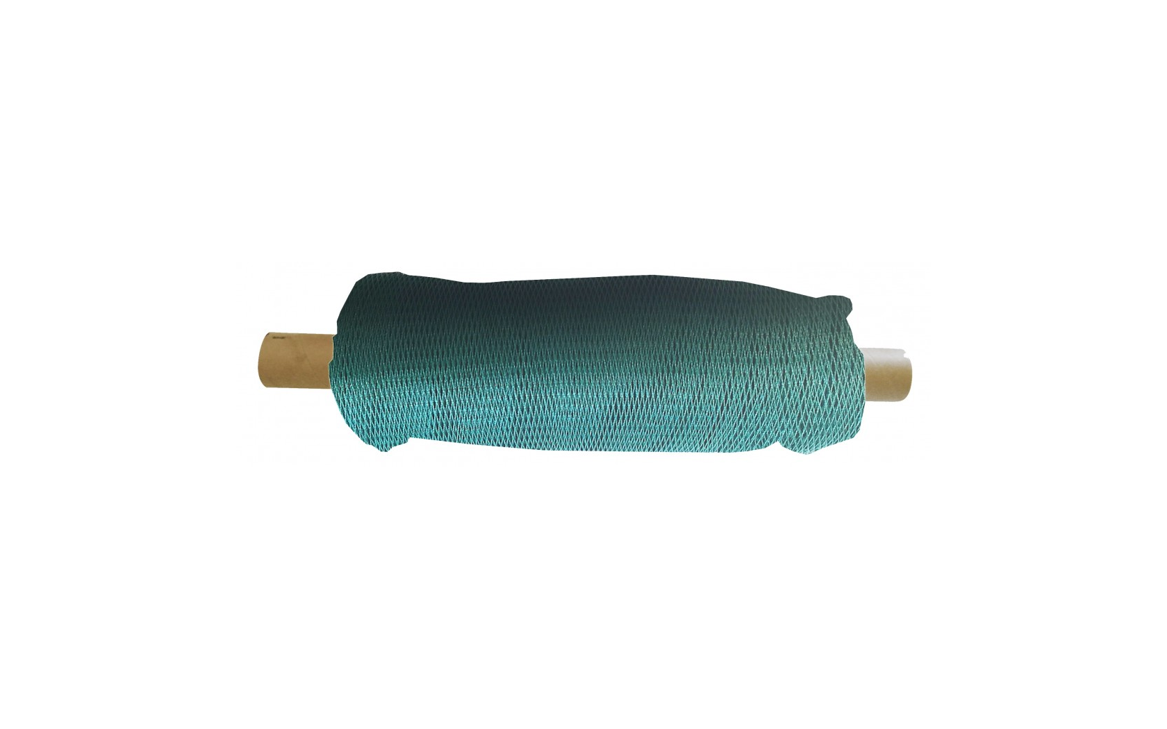 Filet Pêche Nylon Vert Bobine de 10 m  Autain